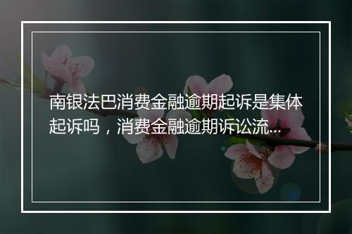 南银法巴消费金融逾期起诉是集体起诉吗，消费金融逾期诉讼流程解析