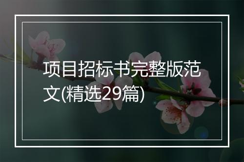 项目招标书完整版范文(精选29篇)