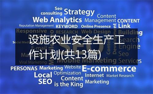 设施农业安全生产工作计划(共13篇)