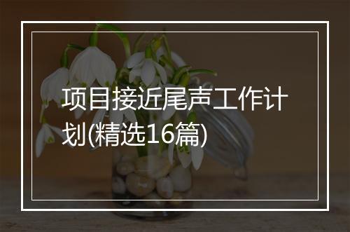 项目接近尾声工作计划(精选16篇)