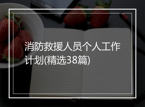 消防救援人员个人工作计划(精选38篇)