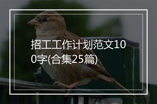 招工工作计划范文100字(合集25篇)