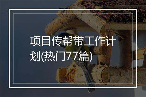 项目传帮带工作计划(热门77篇)