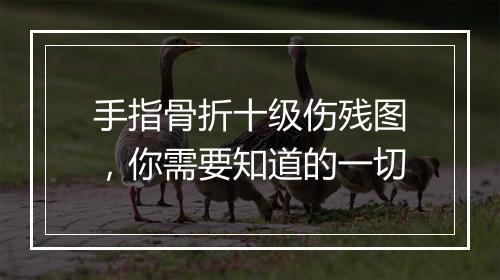 手指骨折十级伤残图，你需要知道的一切