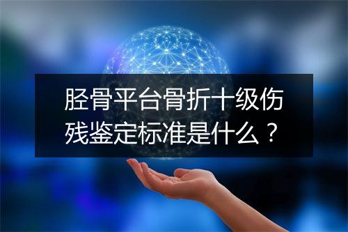 胫骨平台骨折十级伤残鉴定标准是什么？