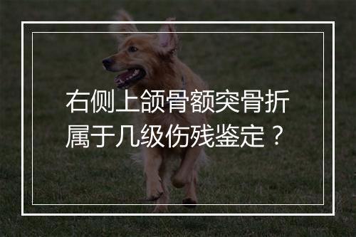 右侧上颌骨额突骨折属于几级伤残鉴定？