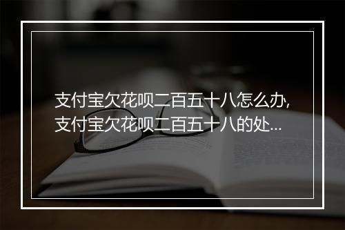 支付宝欠花呗二百五十八怎么办,支付宝欠花呗二百五十八的处理