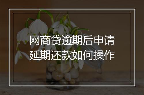 网商贷逾期后申请延期还款如何操作