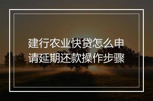 建行农业快贷怎么申请延期还款操作步骤