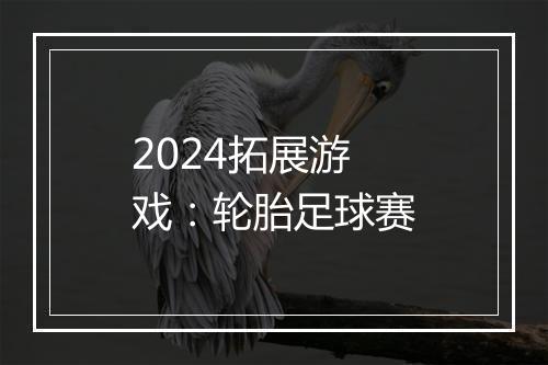 2024拓展游戏：轮胎足球赛