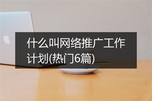 什么叫网络推广工作计划(热门6篇)