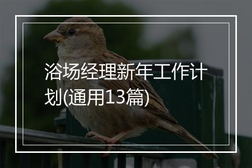 浴场经理新年工作计划(通用13篇)