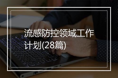 流感防控领域工作计划(28篇)