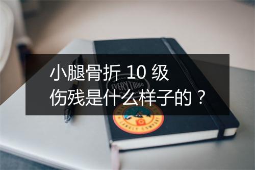 小腿骨折 10 级伤残是什么样子的？