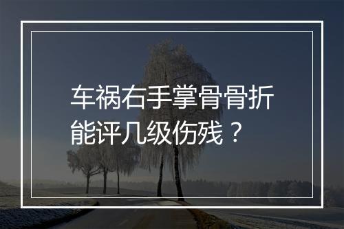 车祸右手掌骨骨折能评几级伤残？