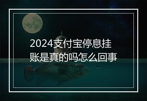 2024支付宝停息挂账是真的吗怎么回事