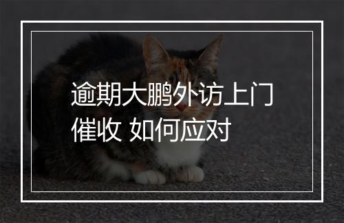 逾期大鹏外访上门催收 如何应对