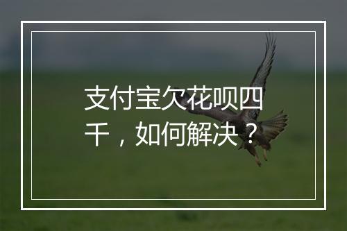 支付宝欠花呗四千，如何解决？