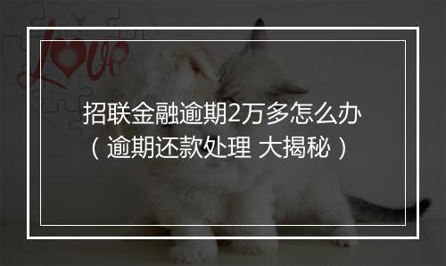招联金融逾期2万多怎么办（逾期还款处理 大揭秘）