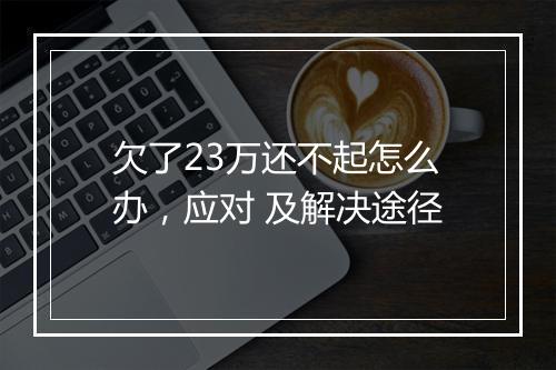 欠了23万还不起怎么办，应对 及解决途径