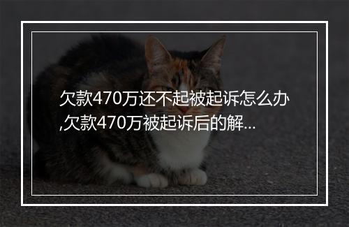 欠款470万还不起被起诉怎么办,欠款470万被起诉后的解决方法