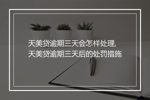 天美贷逾期三天会怎样处理,天美贷逾期三天后的处罚措施
