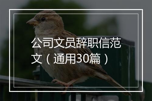 公司文员辞职信范文（通用30篇）