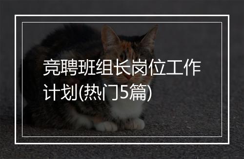 竞聘班组长岗位工作计划(热门5篇)