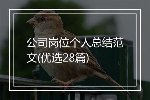 公司岗位个人总结范文(优选28篇)