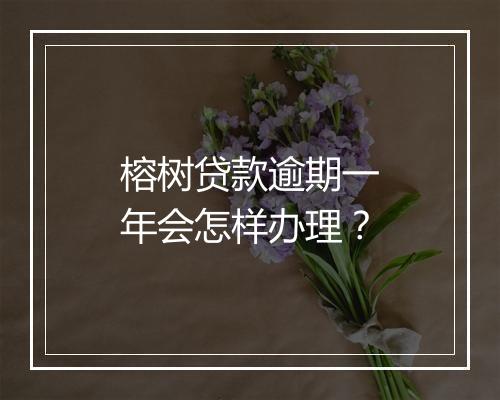 榕树贷款逾期一年会怎样办理？