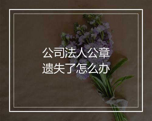 公司法人公章遗失了怎么办