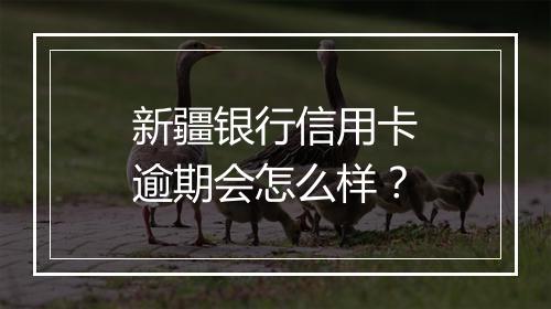 新疆银行信用卡逾期会怎么样？