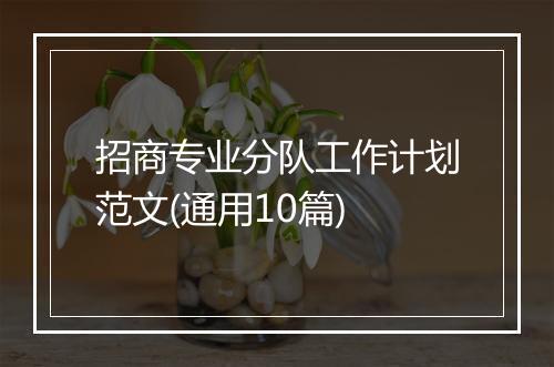 招商专业分队工作计划范文(通用10篇)