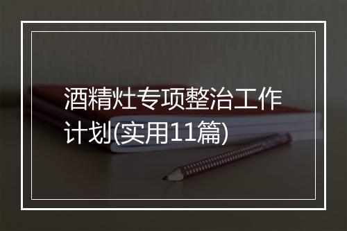 酒精灶专项整治工作计划(实用11篇)