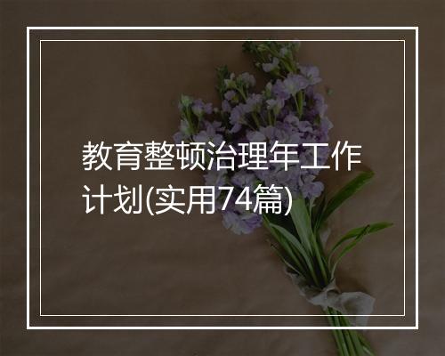 教育整顿治理年工作计划(实用74篇)