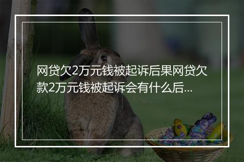 网贷欠2万元钱被起诉后果网贷欠款2万元钱被起诉会有什么后果