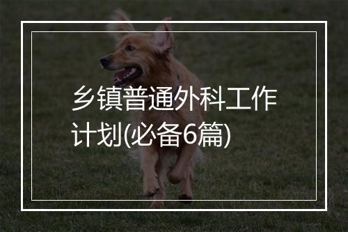 乡镇普通外科工作计划(必备6篇)