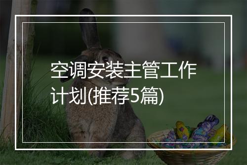 空调安装主管工作计划(推荐5篇)