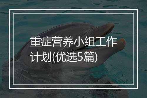 重症营养小组工作计划(优选5篇)