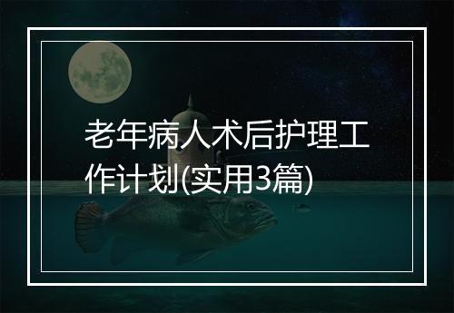 老年病人术后护理工作计划(实用3篇)