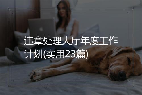 违章处理大厅年度工作计划(实用23篇)