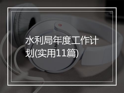 水利局年度工作计划(实用11篇)