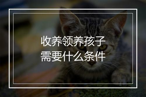 收养领养孩子需要什么条件