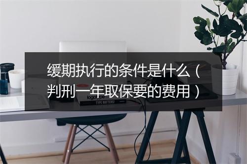 缓期执行的条件是什么（判刑一年取保要的费用）