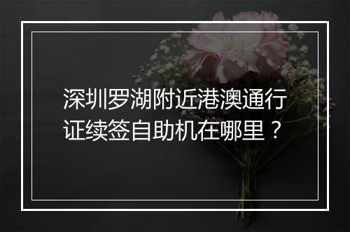 深圳罗湖附近港澳通行证续签自助机在哪里？