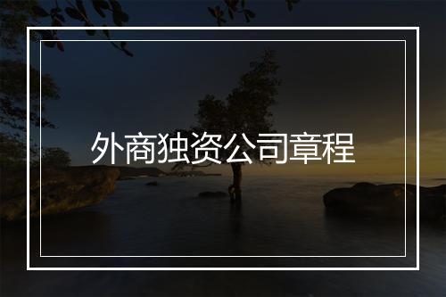 外商独资公司章程