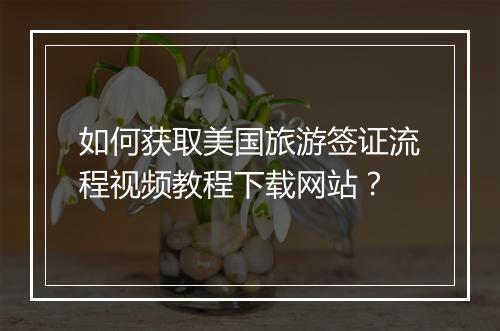 如何获取美国旅游签证流程视频教程下载网站？