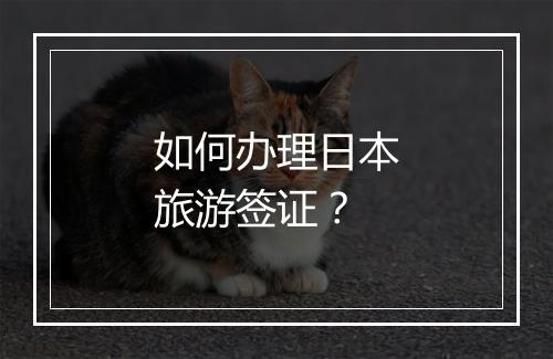 如何办理日本旅游签证？