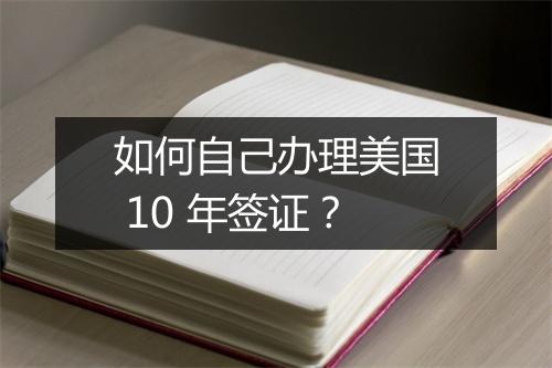 如何自己办理美国 10 年签证？