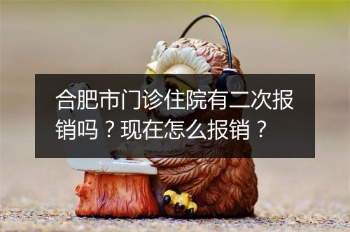 合肥市门诊住院有二次报销吗？现在怎么报销？